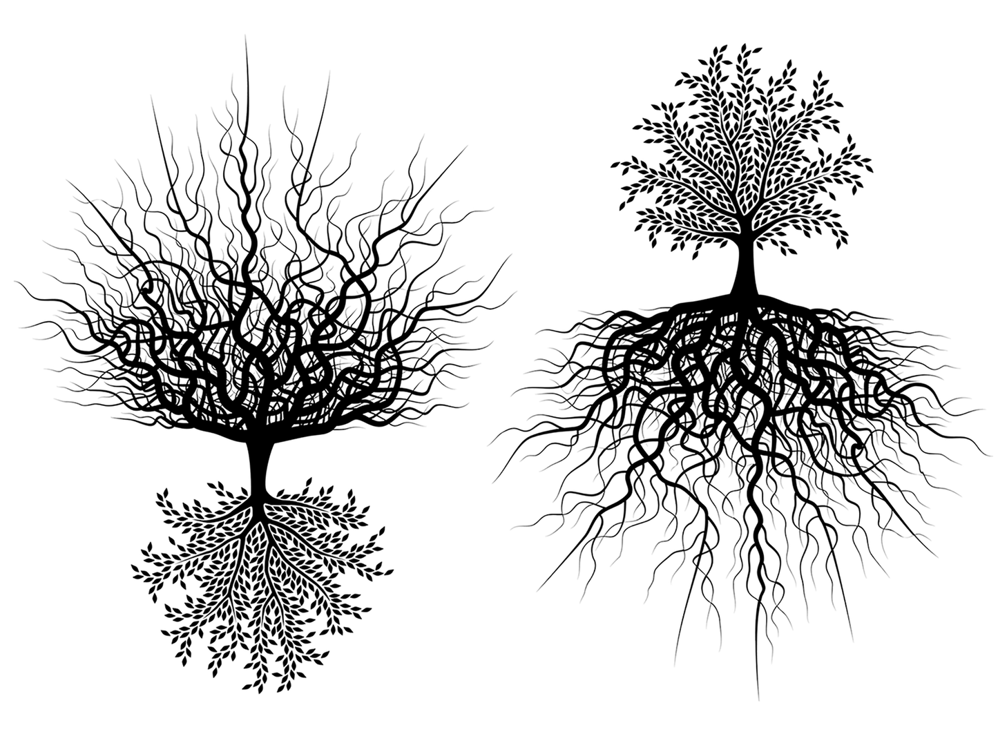 Rooted Tree of Life 4 pcs 3.5 Inch Black Fused Glass Decals