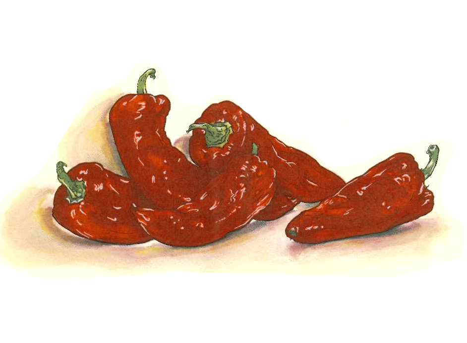 Chili Red Peppers Overglaze Ceramic Decals
