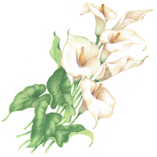 Calla Lily Flower Overglaze Waterslide Ceramic Decals