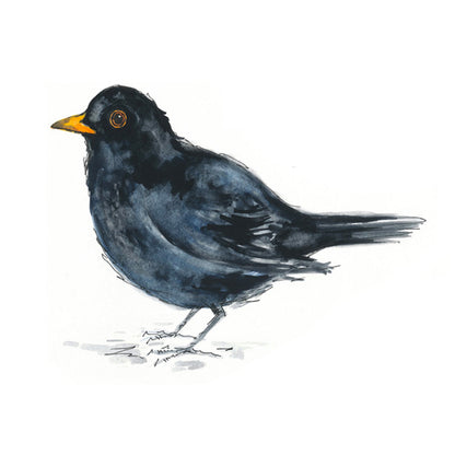 Blackbird Bird Overglaze Waterslide Ceramic Decals