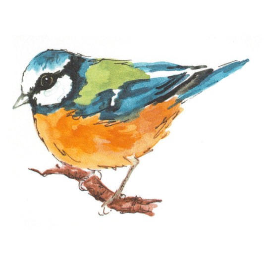 Blue Tit Bird Overglaze Waterslide Ceramic Decals