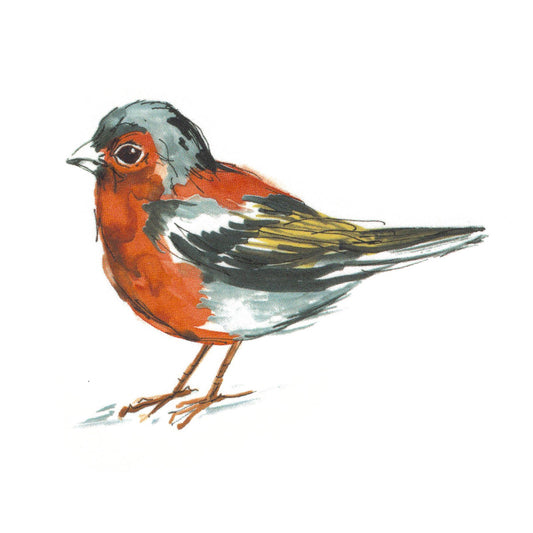 Chafinch Bird Overglaze Waterslide Ceramic Decals