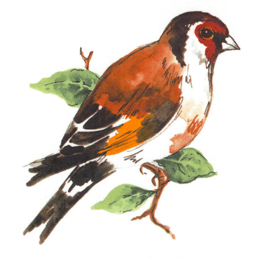 Goldfinch Bird Overglaze Waterslide Ceramic Decals