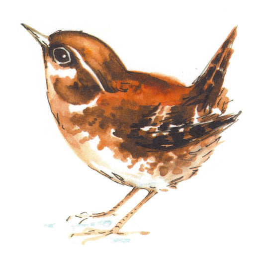 Wren Bird Overglaze Waterslide Ceramic Decals