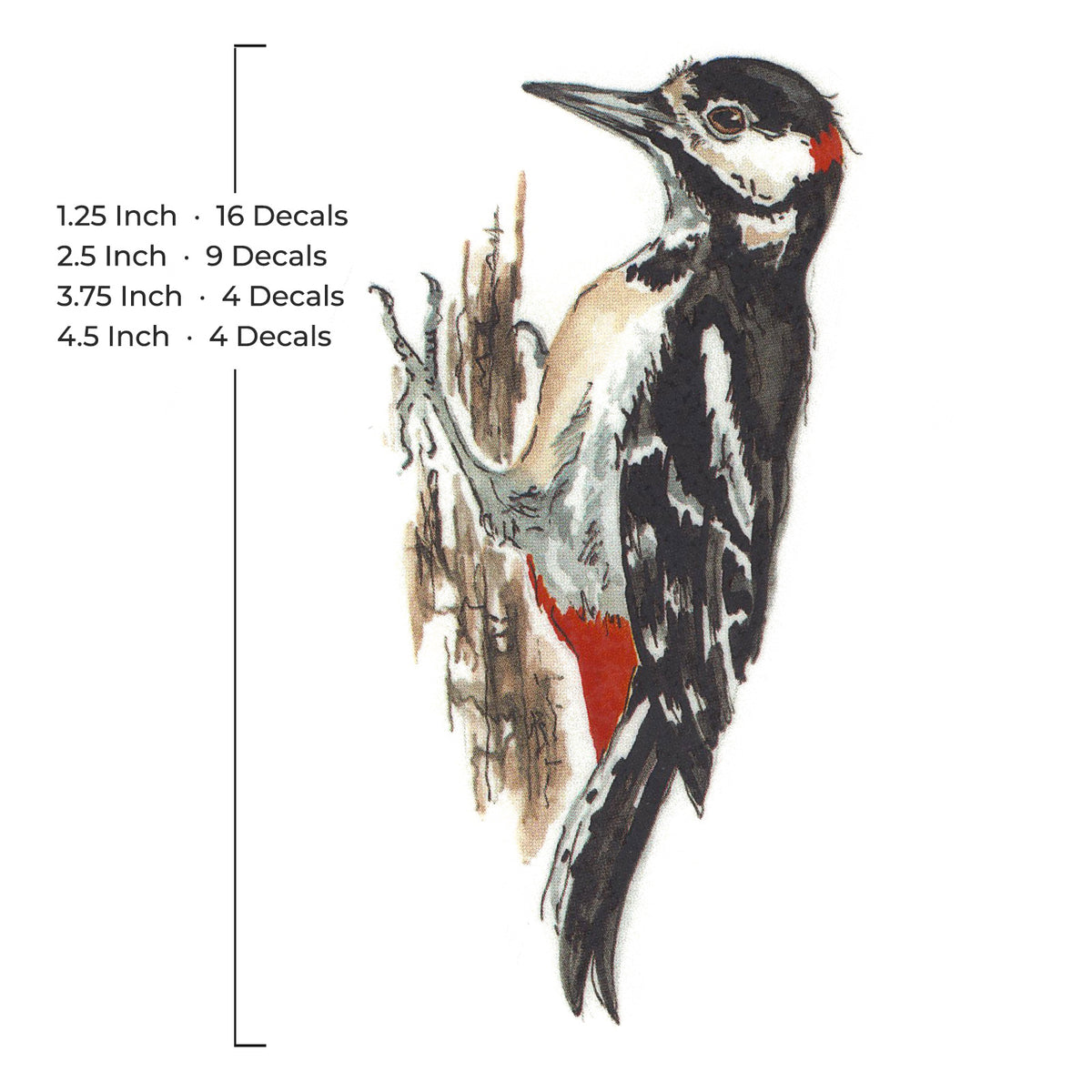 Spotted Woodpecker Bird Overglaze Waterslide Ceramic Decals