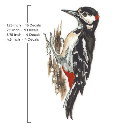 Spotted Woodpecker Bird Overglaze Waterslide Ceramic Decals