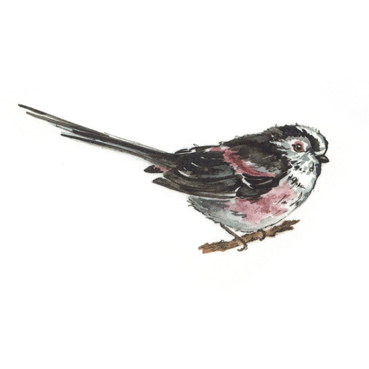 Long Tailed Tit Bird Overglaze Waterslide Ceramic Decals