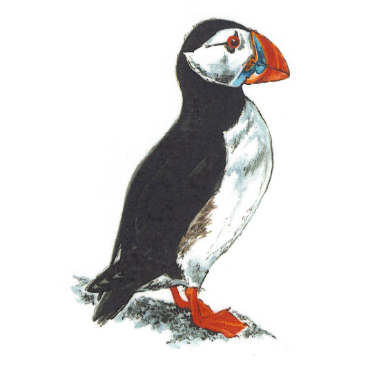 Puffin Bird Overglaze Waterslide Ceramic Decals