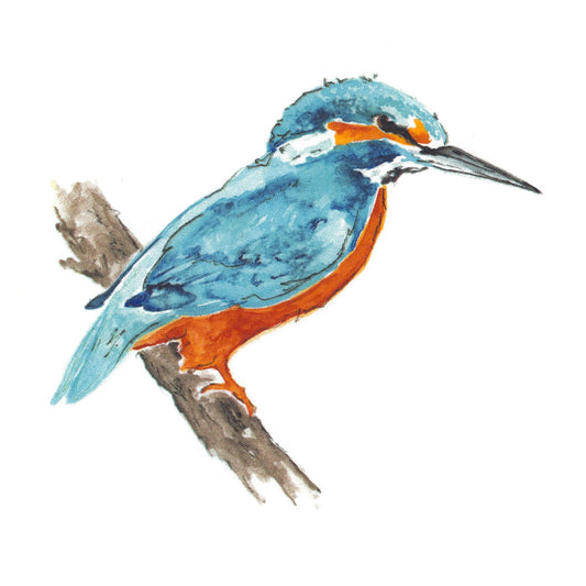 Kingfisher Bird Overglaze Waterslide Ceramic Decals