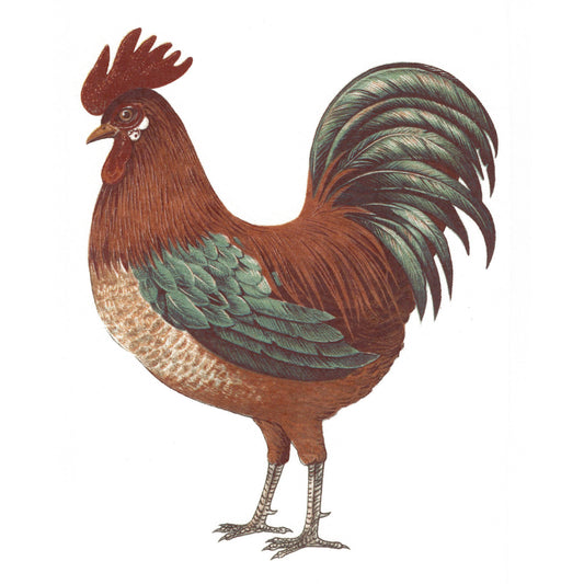 Rooster Barnyard Farm Animal Fowl Select-A-Size Waterslide Ceramic Decals