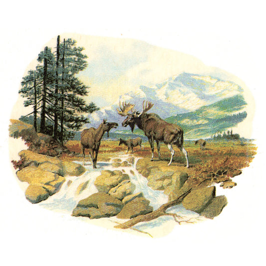 Moose Forest Scene River Mountains Overglaze Waterslide Ceramic Decals