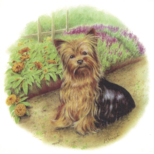 Yorkie Yorkshire Terrier Garden Round Overglaze Waterslide Ceramic Decals