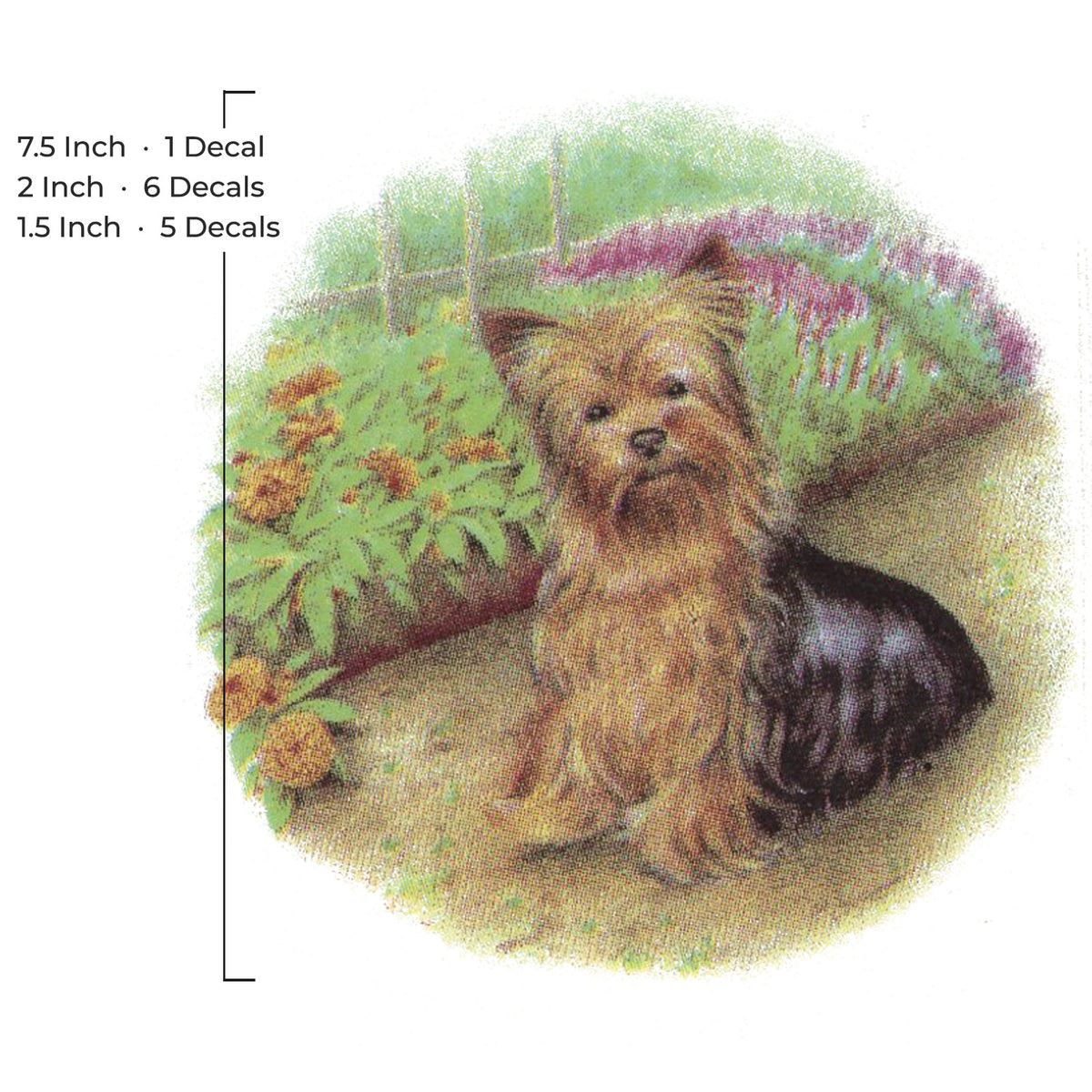 Yorkie Yorkshire Terrier Garden Round Overglaze Waterslide Ceramic Decals