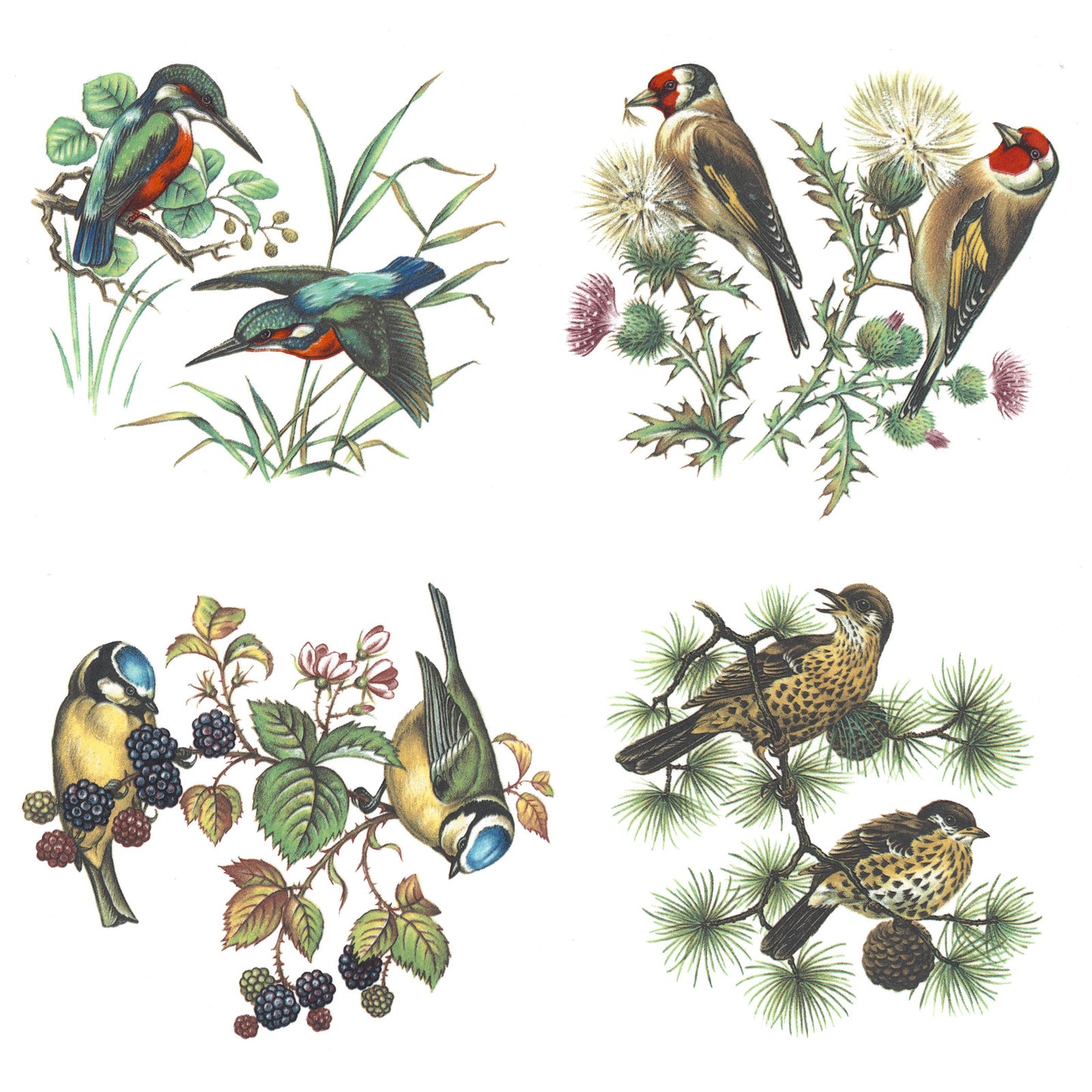 4 British Birds Overglaze Waterslide Ceramic Decals