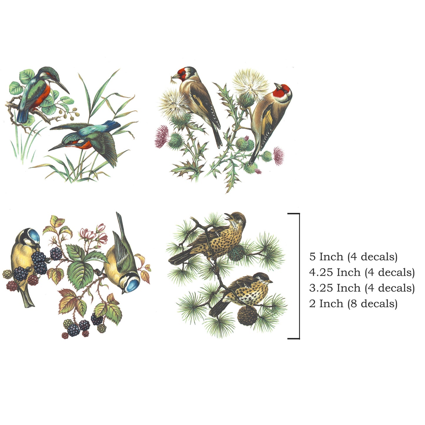 4 British Birds Overglaze Waterslide Ceramic Decals