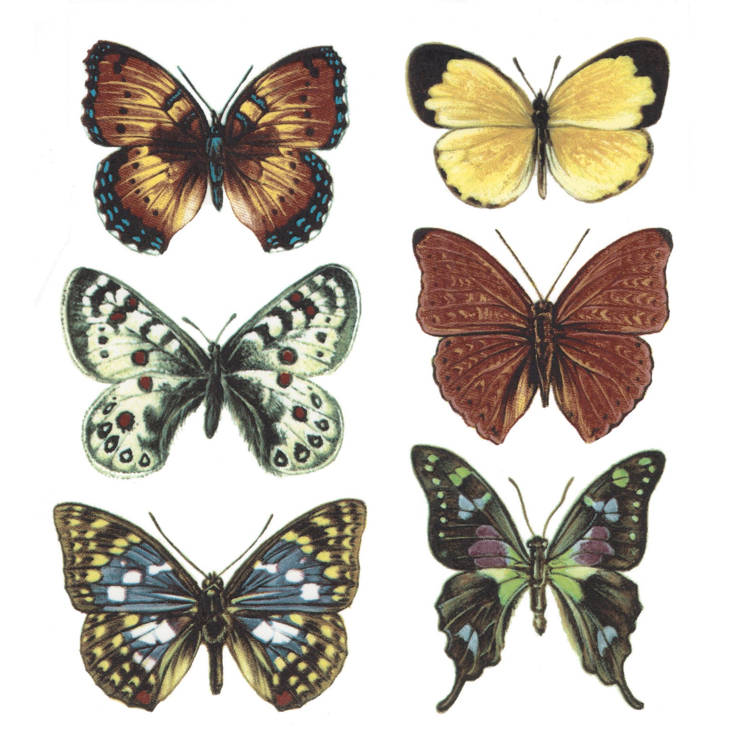 Butterfly Butterflies Set Overglaze Waterslide Ceramic Decals