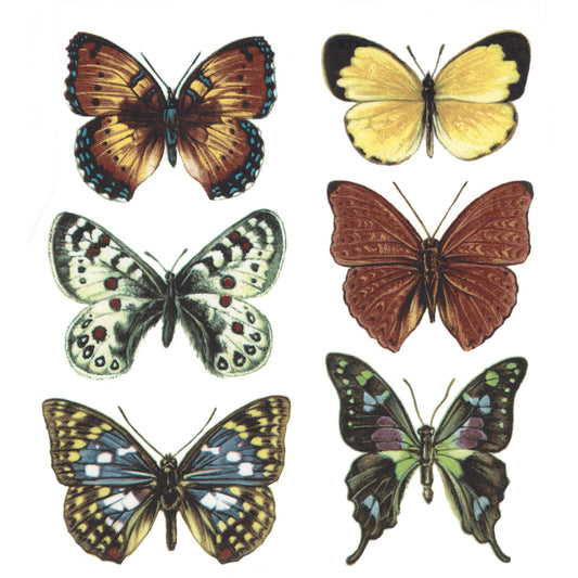 Butterfly Butterflies Set Overglaze Waterslide Ceramic Decals