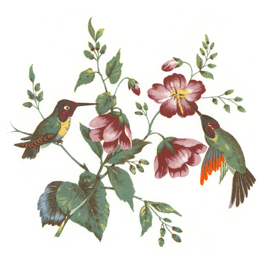 Hummingbird Flowers Overglaze Waterslide Ceramic Decals