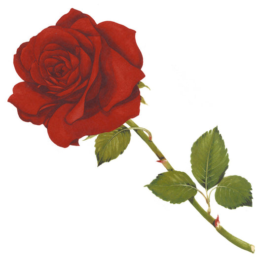 Red Rose Flower Overglaze Waterslide Ceramic Decals