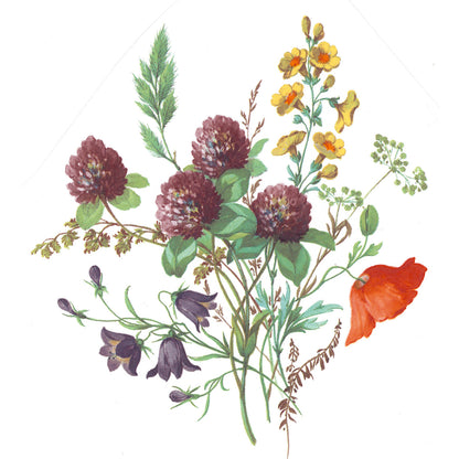 Meadow Wild Flowers Poppy Clover Bellflower Overglaze Ceramic Decals