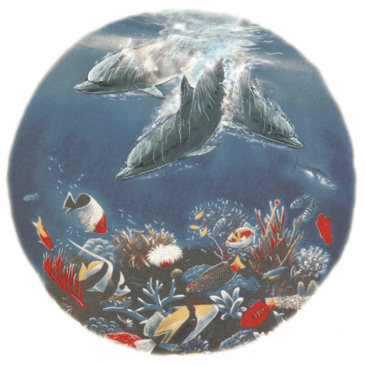 Dolphin Ocean Fish Overglaze Waterslide Ceramic Decals