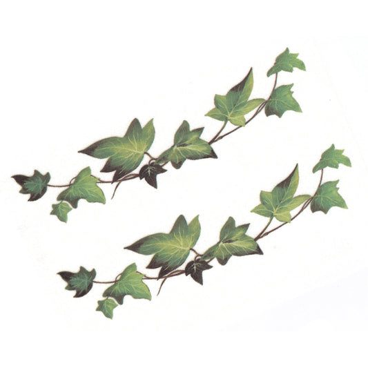 Ivy Green Leaf Border Overglaze Waterslide Ceramic Decals