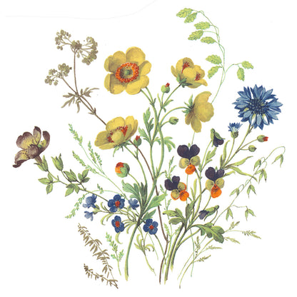 Meadow Wild Flowers Anemone Pansy Flax Cornflower Overglaze Ceramic Decals