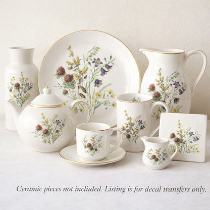 Meadow Wild Flowers Anemone Clover Cinquefoil Plantain Overglaze Ceramic Decals