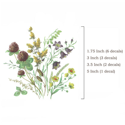Meadow Wild Flowers Anemone Clover Cinquefoil Plantain Overglaze Ceramic Decals