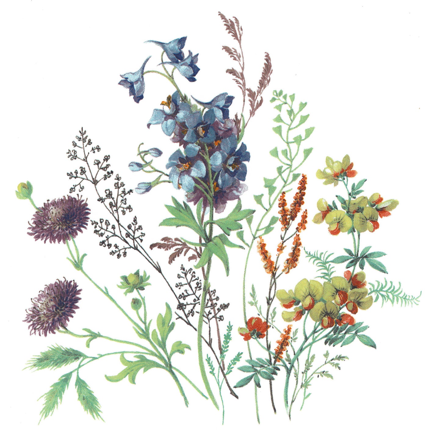 Meadow Wild Flowers Delphinium Thistle Goldenrod Overglaze Ceramic Decals