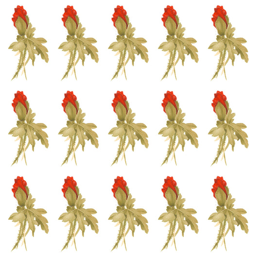 Burnt Orange Poppy Flowers Buds Waterslide Ceramic Decals
