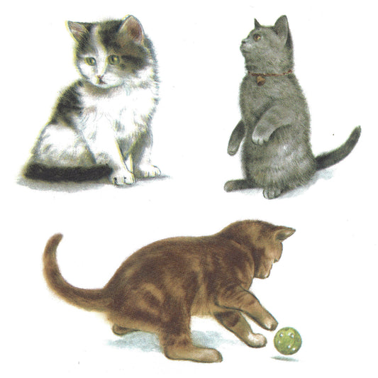 Cat Kitten Orange Black White Gray Overglaze Waterslide Ceramic Decals