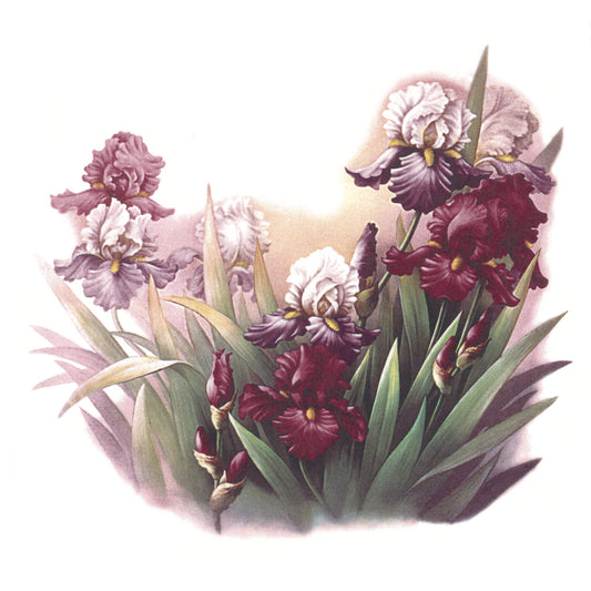 Flowers Scintillation Purple Iris Overglaze Ceramic Decals