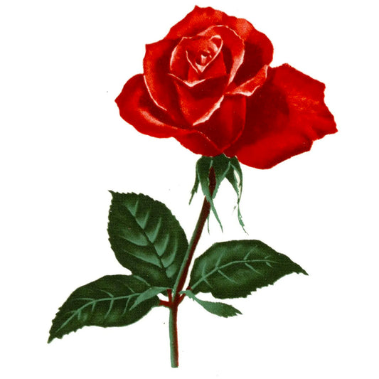 Red Rose Flower Overglaze Waterslide Ceramic Decals