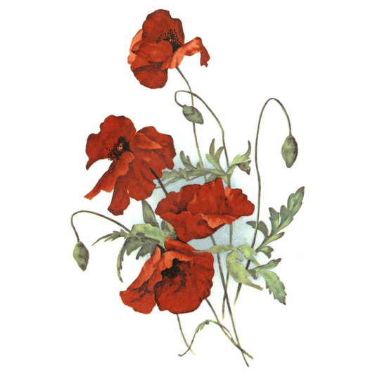 Red Poppy Flower Bouquet Spray Overglaze Ceramic Decals