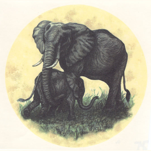 Elephant and Baby in the Wild Overglaze Ceramic Decals