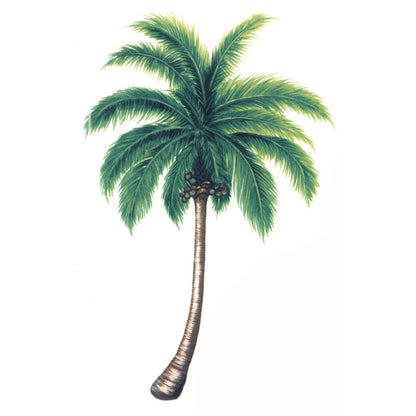 Coconut Palm Trees Overglaze Waterslide Ceramic Decals