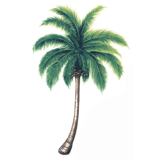 Coconut Palm Trees Overglaze Waterslide Ceramic Decals