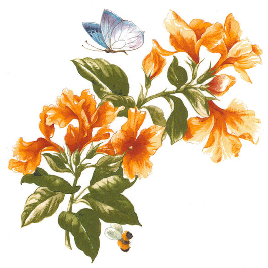 Yellow Flower Blue Butterfly Overglaze Waterslide Ceramic Decals