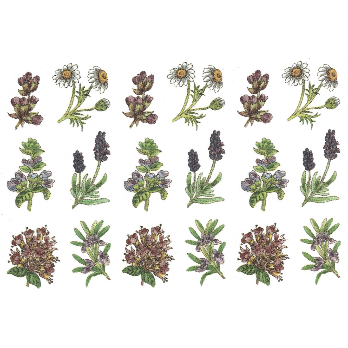 Herb Thyme Basil Rosemary Lavender Bits Overglaze Ceramic Decals