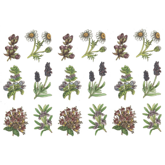 Herb Thyme Basil Rosemary Lavender Bits Overglaze Ceramic Decals
