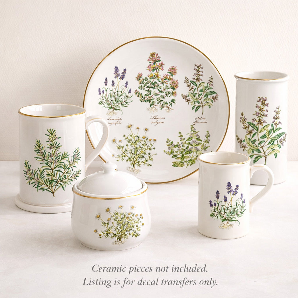 Herb Thyme Basil Rosemary Lavender Overglaze Ceramic Decals