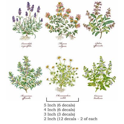 Herb Thyme Basil Rosemary Lavender Overglaze Ceramic Decals
