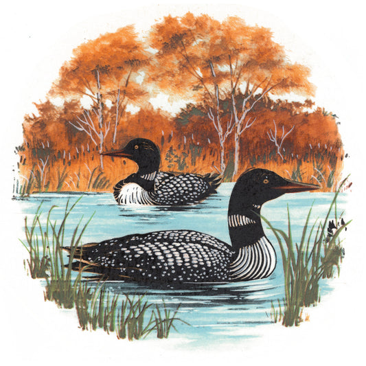 Loons on a Lake in Fall Overglaze Ceramic Decals