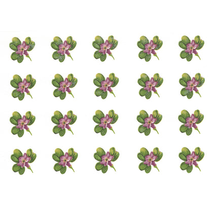 Blooming Shamrock Overglaze Waterslide Ceramic Decals