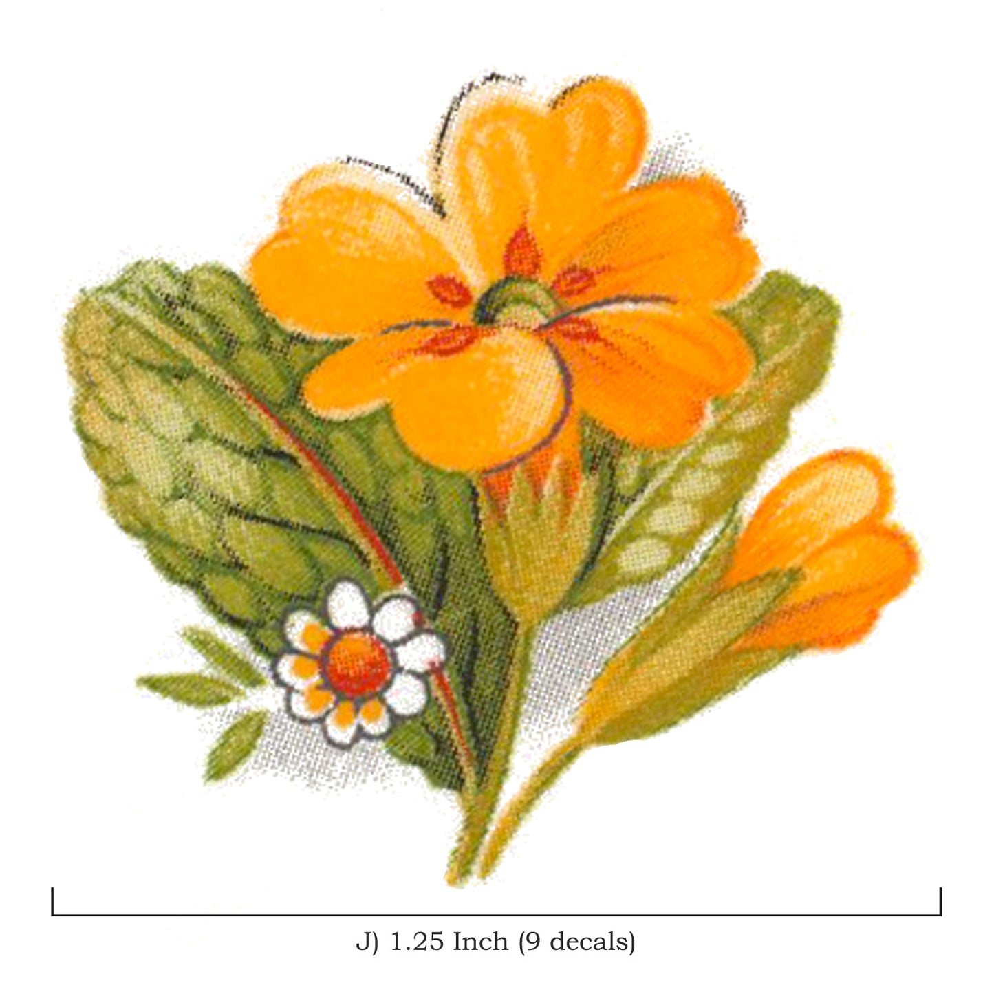 Yellow Primrose Flower Waterslide Ceramic Decals