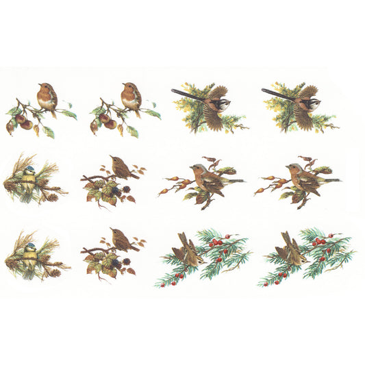 Various Birds in the Woods Overglaze Ceramic Decals