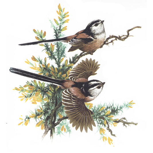 Long Tailed Tits Birds in the Woods Overglaze Ceramic Decals