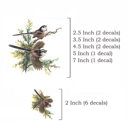 Long Tailed Tits Birds in the Woods Overglaze Ceramic Decals