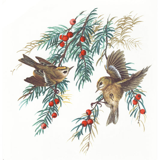 Goldcrest Birds in the Woods Overglaze Ceramic Decals